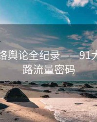 多维网络舆论全纪录——91大事件线路流量密码
