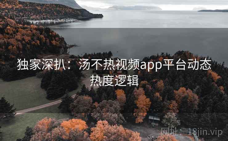 独家深扒：汤不热视频app平台动态热度逻辑