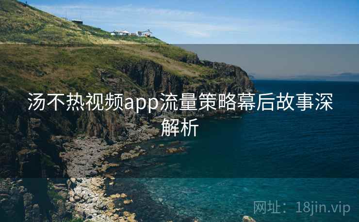 汤不热视频app流量策略幕后故事深解析