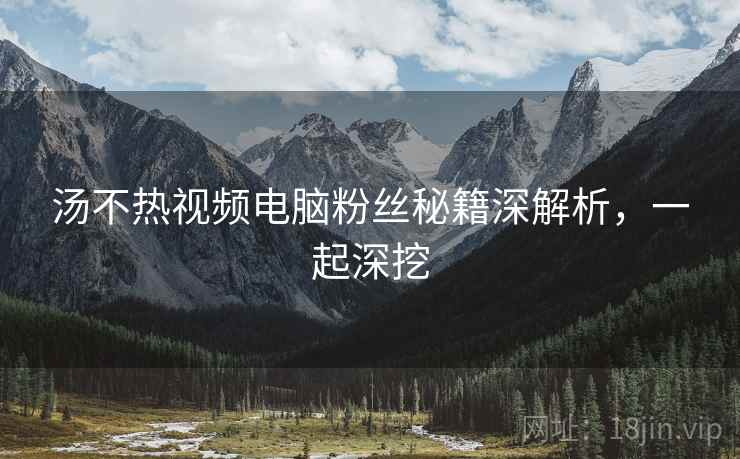 汤不热视频电脑粉丝秘籍深解析，一起深挖